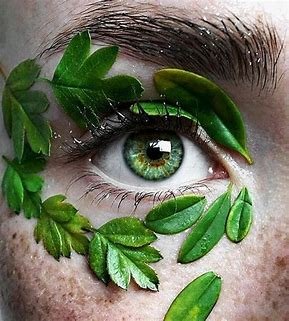 Los ojos besan mucho antes que la... - Los Zapatos de Mery | Facebook