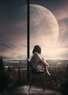 O perigo dos "conselhos de Internet" ⋆ Nem Sempre Zen